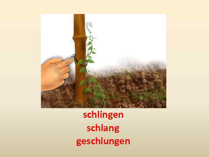 schlingen schlang geschlungen 