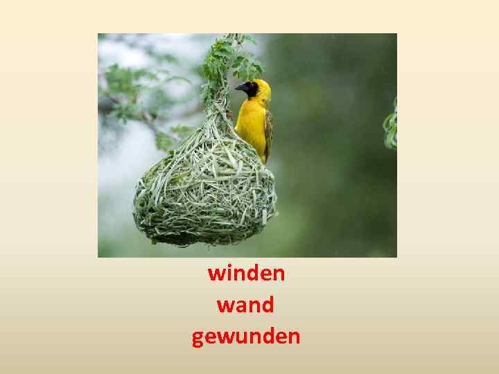 winden wand gewunden 