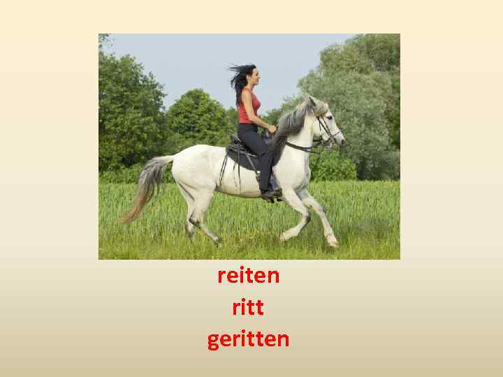 reiten ritt geritten 