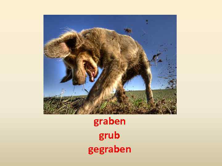 graben grub gegraben 