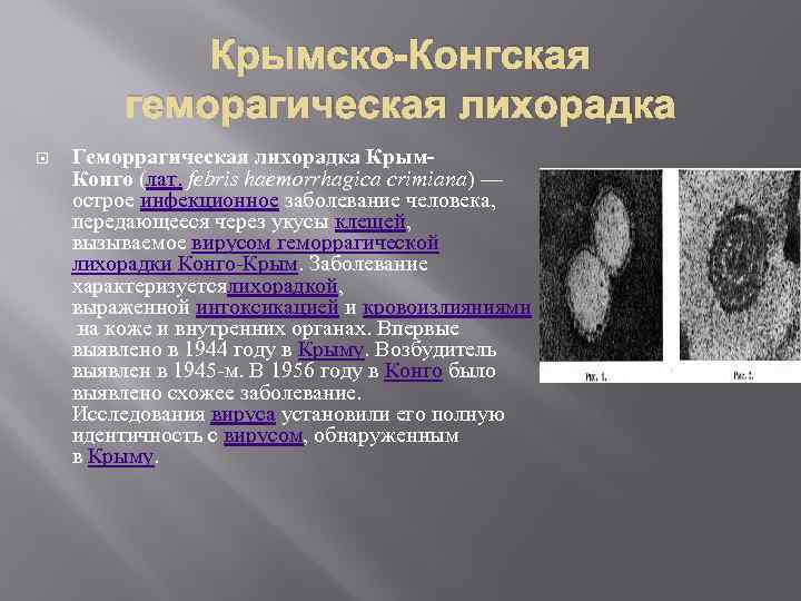 Конго крымская геморрагическая лихорадка что это такое