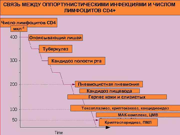 СВЯЗЬ МЕЖДУ ОППОРТУНИСТИЧЕСКИМИ ИНФЕКЦИЯМИ И ЧИСЛОМ ЛИМФОЦИТОВ CD 4+ Число лимфоцитов CD 4 мкл-1