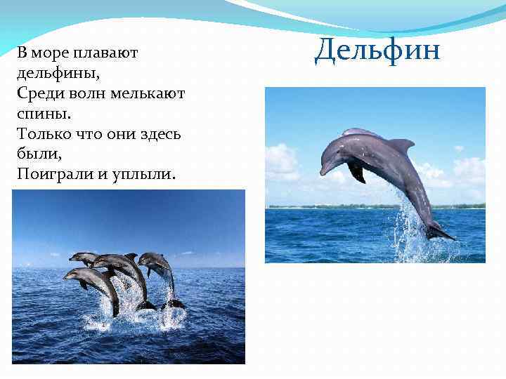 В море плавают дельфины, Среди волн мелькают спины. Только что они здесь были, Поиграли