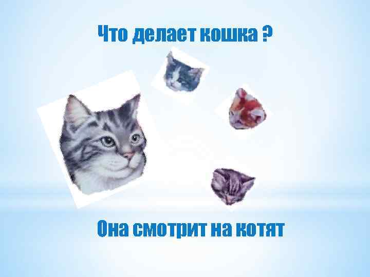 Что делает кошка ? Она смотрит на котят 