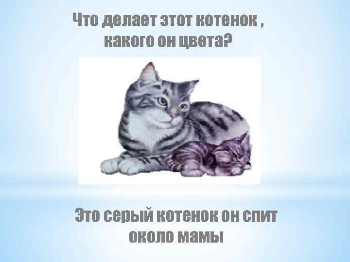 Что делает этот котенок , какого он цвета? Это серый котенок он спит около