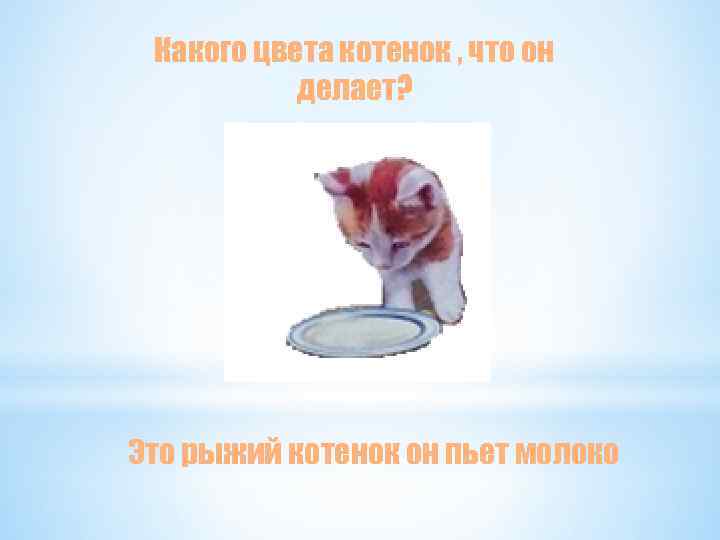 Какого цвета котенок , что он делает? Это рыжий котенок он пьет молоко 