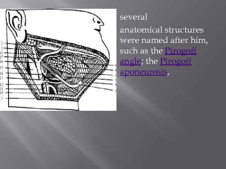  several anatomical structures were named after him, such as the Pirogoff angle; the