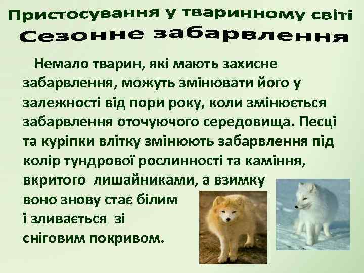 Немало тварин, які мають захисне забарвлення, можуть змінювати його у залежності від пори року,