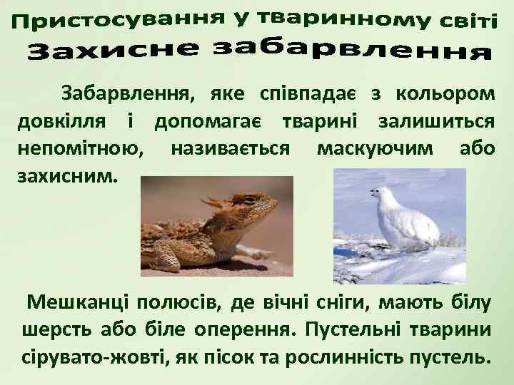 Забарвлення, яке співпадає з кольором довкілля і допомагає тварині залишиться непомітною, називається маскуючим або