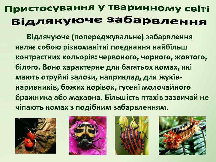 Відлячуюче (попереджувальне) забарвлення являє собою різноманітні поєднання найбільш контрастних кольорів: червоного, чорного, жовтого, білого.