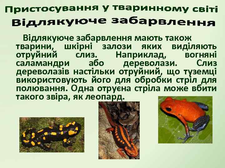 Відлякуюче забарвлення мають також тварини, шкірні залози яких виділяють отруйний слиз. Наприклад, вогняні саламандри