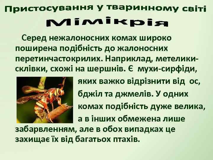 Серед нежалоносних комах широко поширена подібність до жалоносних перетинчастокрилих. Наприклад, метеликисклівки, схожі на шершнів.