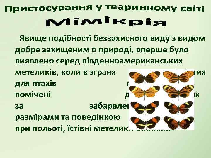 Явище подібності беззахисного виду з видом добре захищеним в природі, вперше було виявлено серед