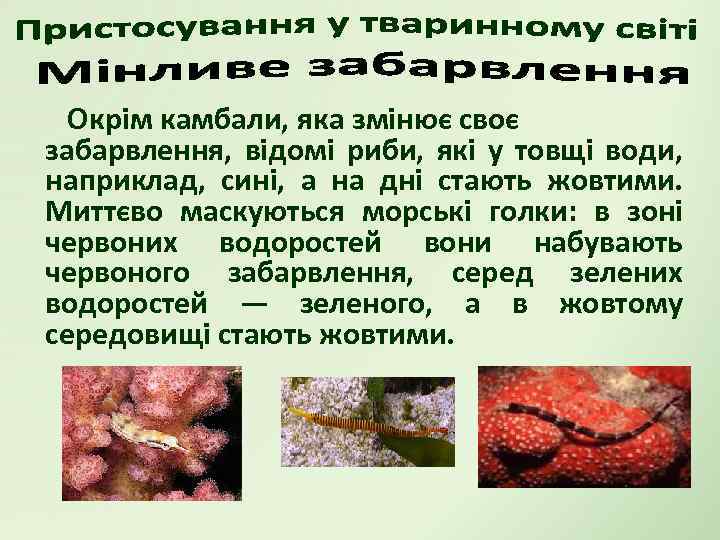 Окрім камбали, яка змінює своє забарвлення, відомі риби, які у товщі води, наприклад, сині,