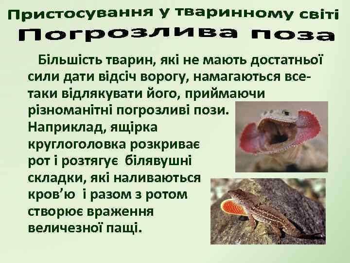 Більшість тварин, які не мають достатньої сили дати відсіч ворогу, намагаються всетаки відлякувати його,