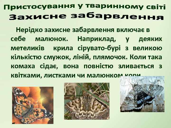 Нерідко захисне забарвлення включає в себе малюнок. Наприклад, у деяких метеликів крила сірувато-бурі з