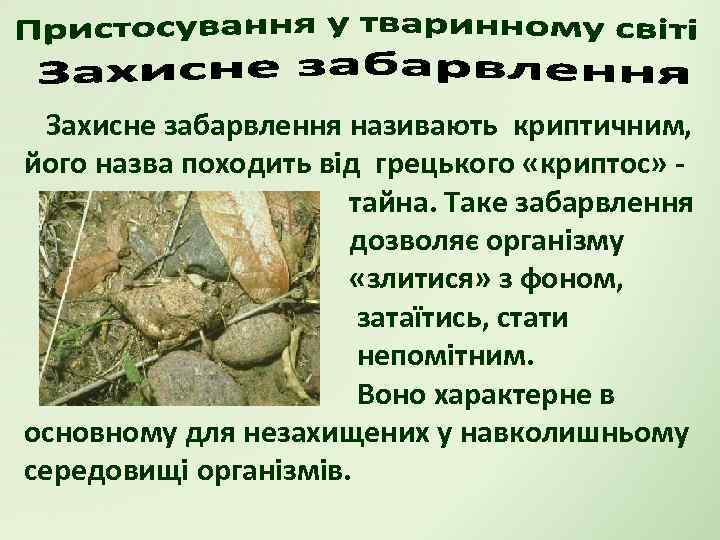 Захисне забарвлення називають криптичним, його назва походить від грецького «криптос» тайна. Таке забарвлення дозволяє