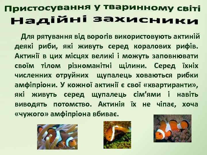 Для рятування від ворогів використовують актиній деякі риби, які живуть серед коралових рифів. Актинії