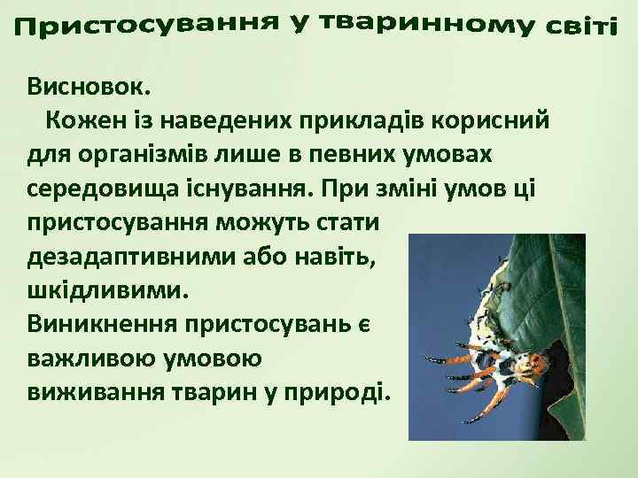 Висновок. Кожен із наведених прикладів корисний для організмів лише в певних умовах середовища існування.