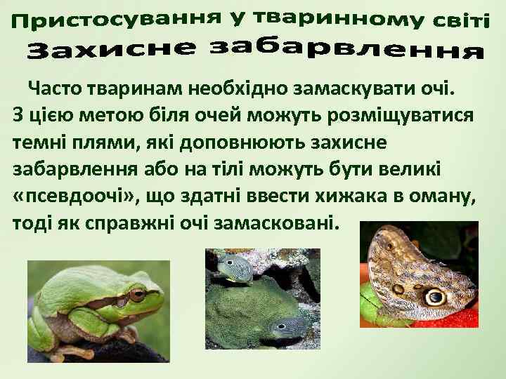 Часто тваринам необхідно замаскувати очі. З цією метою біля очей можуть розміщуватися темні плями,
