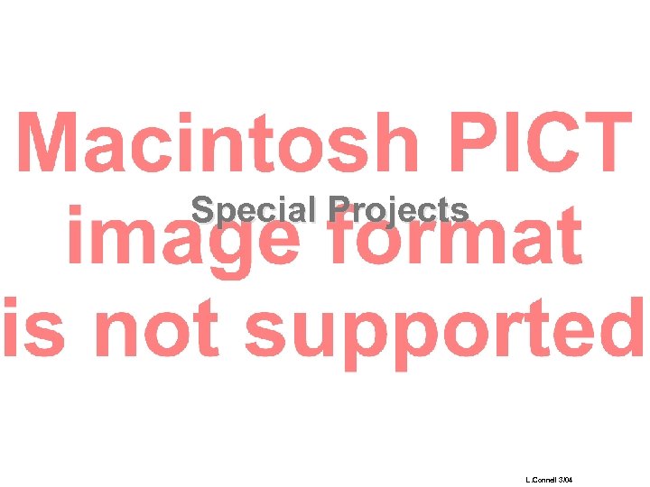 Special Projects L. Connell 3/04 