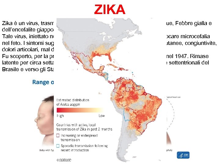 ZIKA Zika è un virus, trasmesso dalle zanzare, simile a quello della Dengue, Febbre