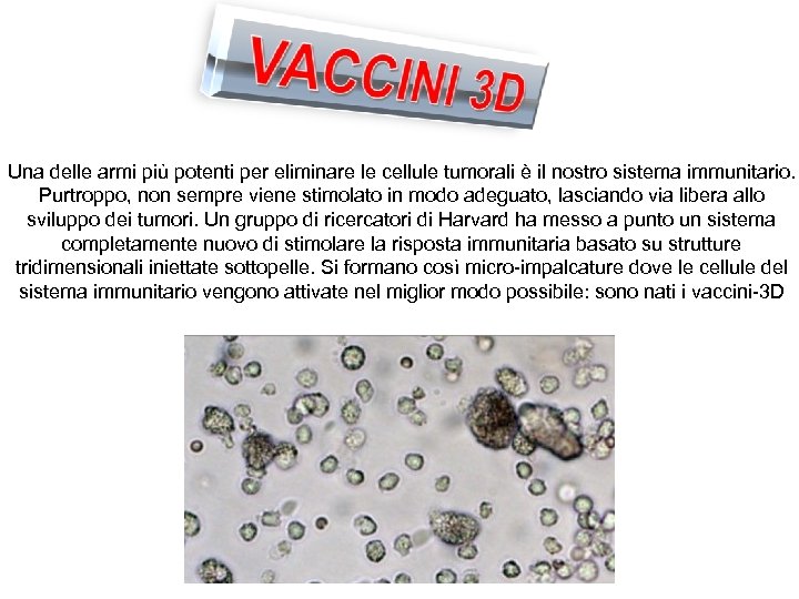 Una delle armi più potenti per eliminare le cellule tumorali è il nostro sistema