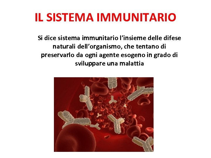 IL SISTEMA IMMUNITARIO Si dice sistema immunitario l’insieme delle difese naturali dell’organismo, che tentano