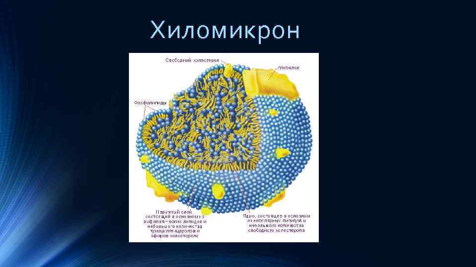 Хиломикрон 