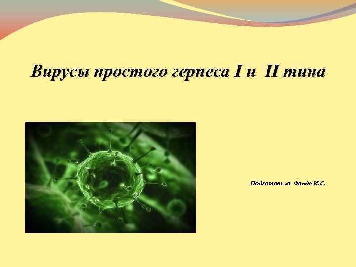 Вирусы простого герпеса I и II типа Подготовила Фандо И. С. 