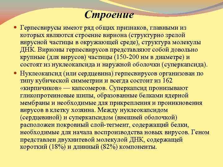 Строение Герпесвирусы имеют ряд общих признаков, главными из которых являются строение вириона (структурно зрелой