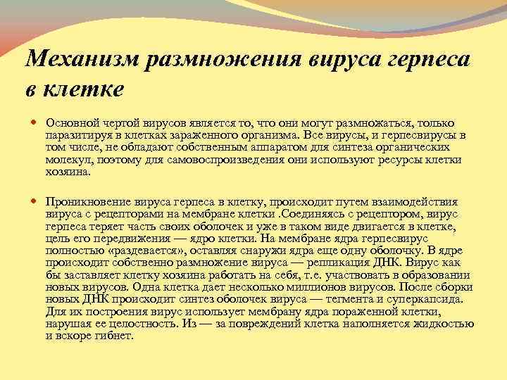 Механизм размножения вируса герпеса в клетке Основной чертой вирусов является то, что они могут