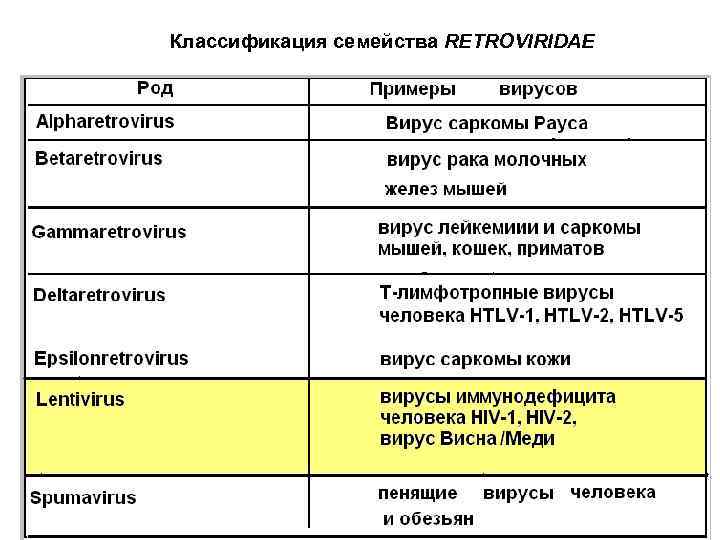 Классификация семейства RETROVIRIDAE 