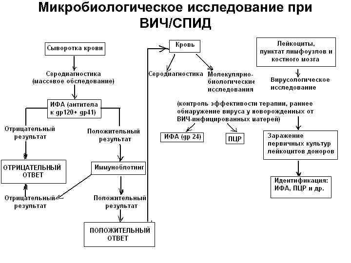 Микробиологическое исследование при ВИЧ/СПИД 