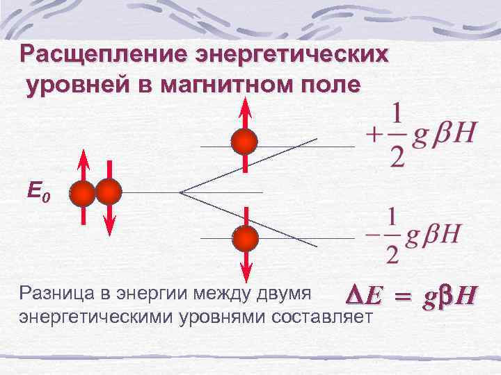 Расщепление энергетических уровней в магнитном поле E 0 Разница в энергии между двумя DE