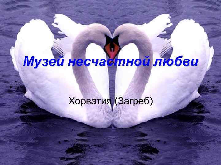 Музей несчастной любви Хорватия (Загреб) Загреб 