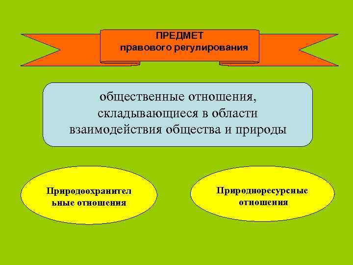 ПРЕДМЕТ правового регулирования общественные отношения, складывающиеся в области взаимодействия общества и природы Природоохранител ьные