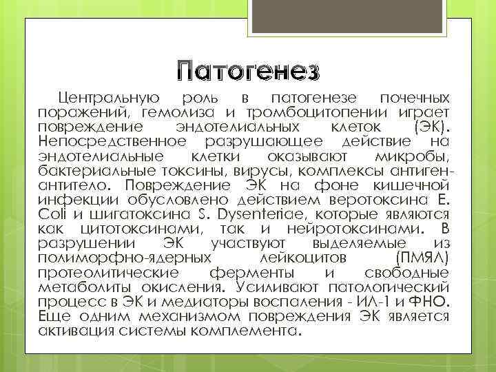 Патогенез Центральную роль в патогенезе почечных поражений, гемолиза и тромбоцитопении играет повреждение эндотелиальных клеток
