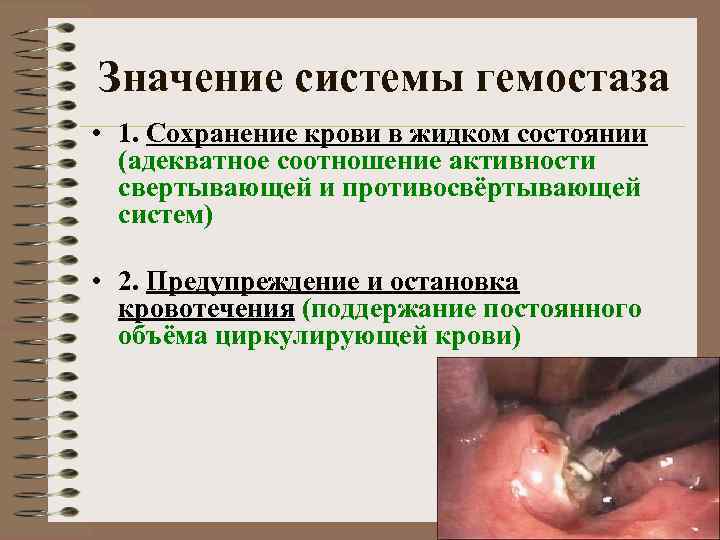 Значение системы гемостаза • 1. Сохранение крови в жидком состоянии (адекватное соотношение активности свертывающей