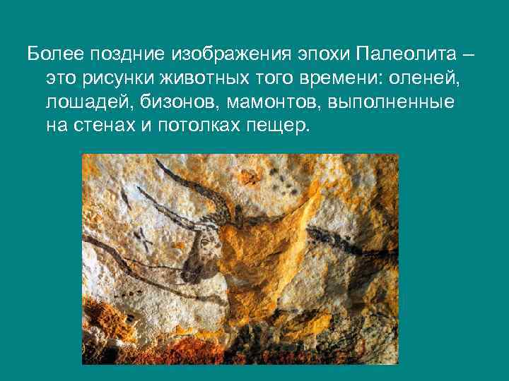 Более поздние изображения эпохи Палеолита – это рисунки животных того времени: оленей, лошадей, бизонов,