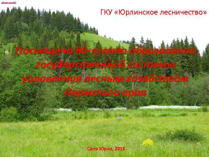 ГКУ «Юрлинское лесничество» Посвящено 80 -летию образования государственной системы управления лесным хозяйством Пермского края