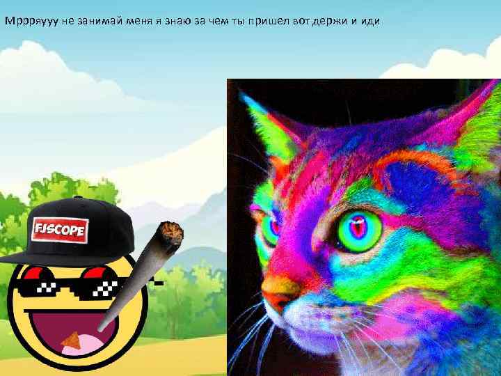 Мррряууу не занимай меня я знаю за чем ты пришел вот держи и иди