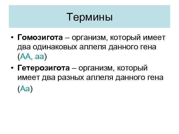 Термины • Гомозигота – организм, который имеет два одинаковых аллеля данного гена (АА, аа)