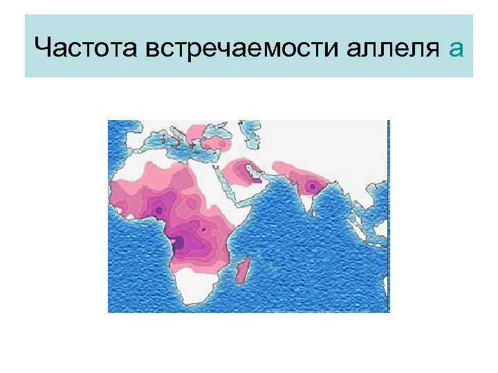 Частота встречаемости аллеля а 
