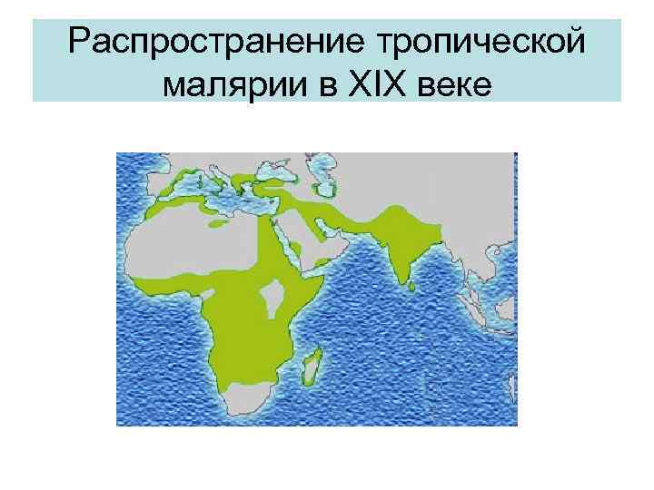 Распространение тропической малярии в XIX веке 