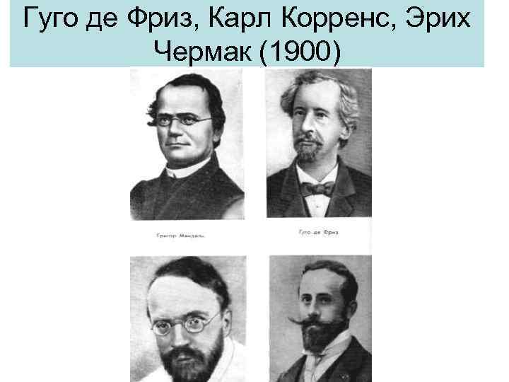 Гуго де Фриз, Карл Корренс, Эрих Чермак (1900) 