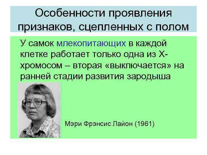 Особенности проявления признаков, сцепленных с полом У самок млекопитающих в каждой клетке работает только