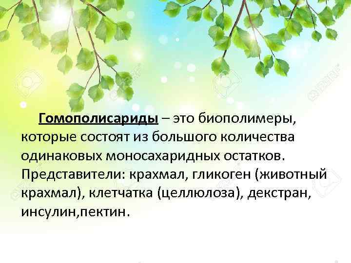 Гомополисариды – это биополимеры, которые состоят из большого количества одинаковых моносахаридных остатков. Представители: крахмал,