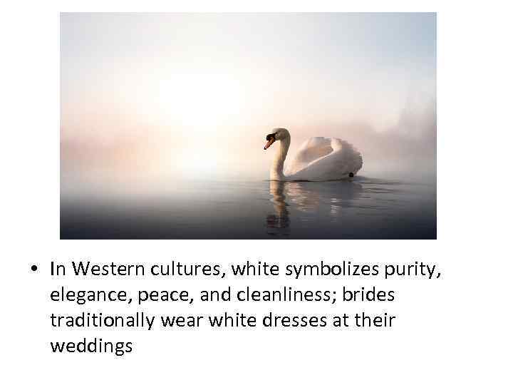  • In Western cultures, white symbolizes purity, elegance, peace, and cleanliness; brides traditionally