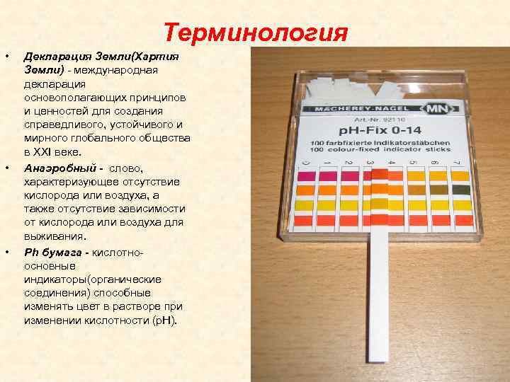 Терминология • • • Декларация Земли(Хартия Земли) - международная декларация основополагающих принципов и ценностей